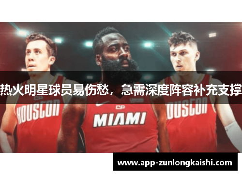 热火明星球员易伤愁，急需深度阵容补充支撑